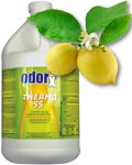 ODORx Thermo 55 Citrus - 